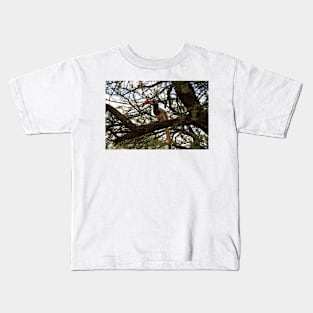 Red-billed hornbill in a tree Kids T-Shirt